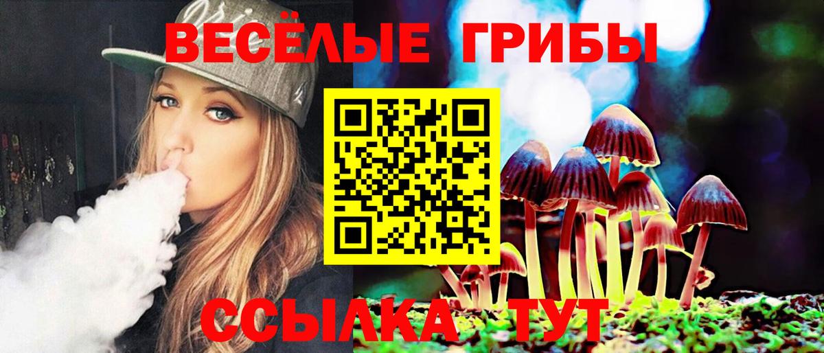 Галлюциногенные грибы Psilocybe  Галлюциногенные грибы Cubensis  Мурино  Вход с VPN 